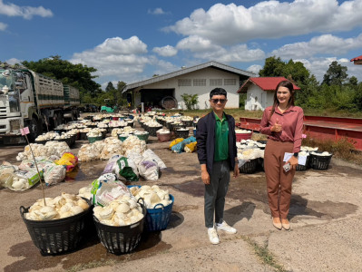 ติดตามการดำเนินธุรกิจรวบรวมยางพารา ... พารามิเตอร์รูปภาพ 1
